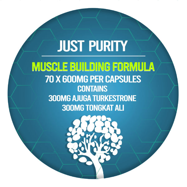 Muscle Building Formula